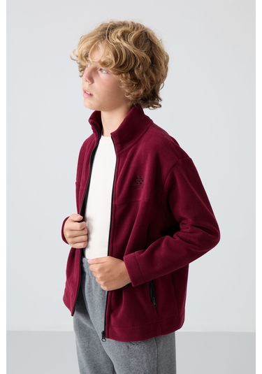 Tommy Life Erguvan Kalın Yumuşak Dokulu Standart Fit Nakışlı Polar Erkek Çocuk Sweatshirt - 11223 Mor