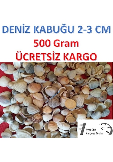 Deniz Kabuğu 500 Gr Deniz Kabukları 2- 3.5 Cm