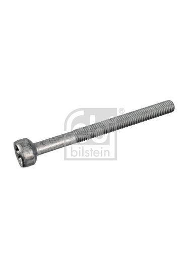 FEBI BILSTEIN 172930 Enjektör Civatası W176 W246