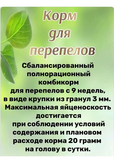 Fermerskij Dvorik Yulaf, Yonca Ve Kabak Çekirdeği İle Zengin Besli Tohumlu Hindi Ve Bıldırcın Karışımı 245768083