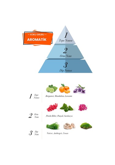 Prova Dear Savage Aromatik Erkek Parfüm EDP 120 ML