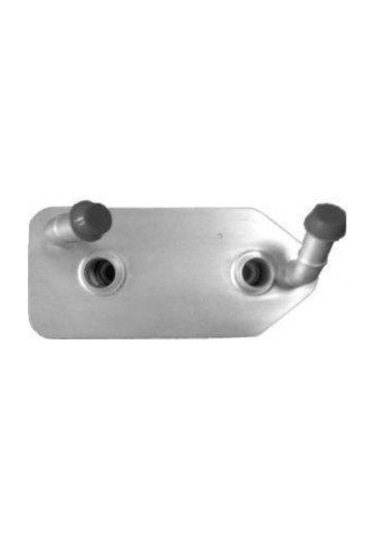 VITESSE 209 Otomatik Şanzıman Yağ Soğutucu Civatası Küçük