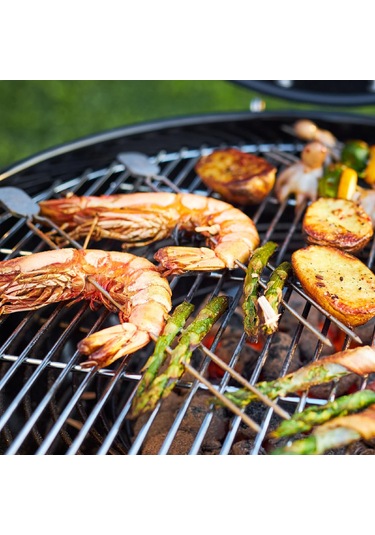 Rösle Barbekü Şiş Seti 4 Lü Çok Renkli