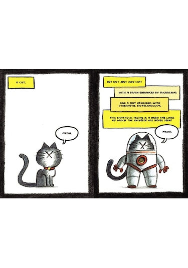 The First Cat İn Space Ate Pizza