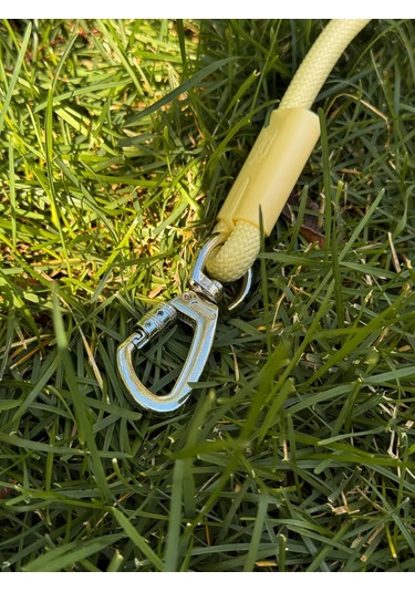 Freedsy Köpekler İçin 2.5 Metre Sarı Naylon Tasma 480667607 Gri