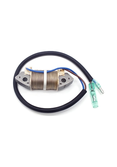 Tomking Tk098-s/tk098-l Deniz Motoru Elektronik Bobin