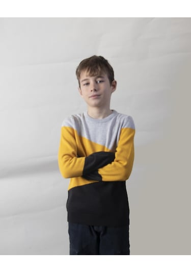 Alexandergardı Desenli Çocuk Triko Kazak C22-18937 10 001