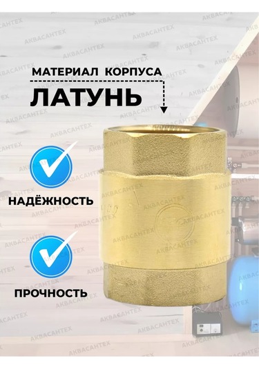 Thermofix 1" Pirinç Milli Geri Tepme Valfi 152782157