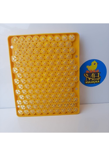 Bıldırcın Viyolü Kuluçka Makinesi Için 129 Yumurta 38x31