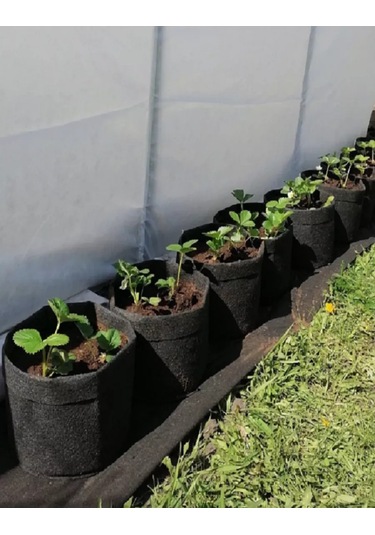 Umnyj Sad Bitki Ve Fideler İçin 46 Litrelik Saksı 2 Adet 187237168