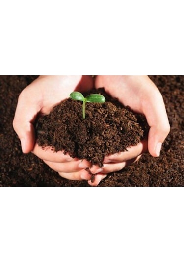 Nif Organik Süper Torf Bitki Toprağı 10 L