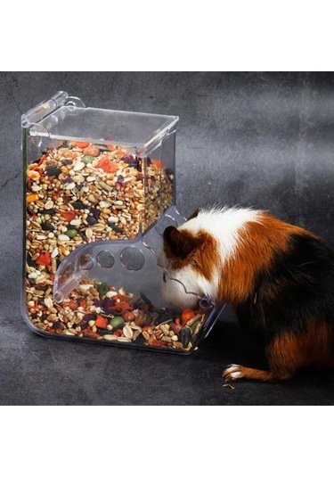 Pazly Pratik Otomatik Evcil Hayvan Besleyici, Şeffaf Plastik, 14x8x7cm, Kırmızı İçin Hamster Ve Kemirgenler