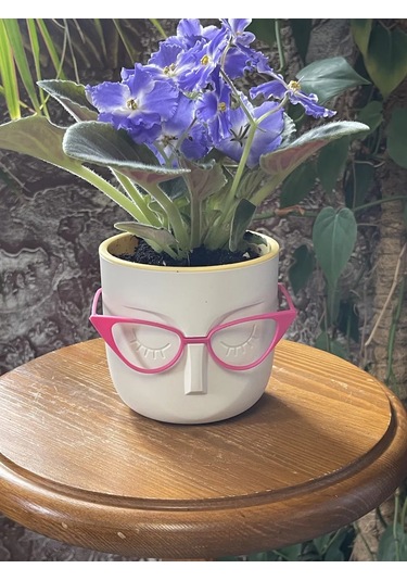 Saburg Çiçek Saksısı 0,65 Litre Saksı Seti 2 Adet Otomatik Sulama Saksı 138199335