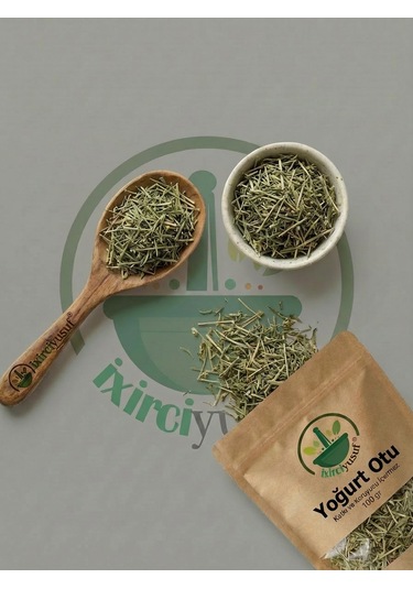 Yoğurt Otu Sarı Yoğurt Otu Galium Verum Lady S Bedstraw Kurutulmuş Bitki Çayı 100 G Doğal