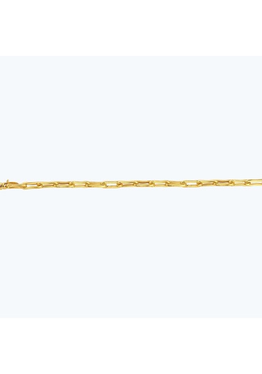 Altınbaş 22 Ayar Altın Zincir Bileklik Bbl0058-25941 Çok Renkli