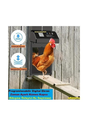 Zaman Ayarlı Programlanabilir Dijital Ekran Kümes Kapısı