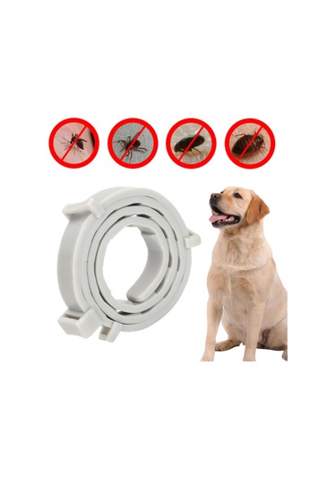 Suntek Kedi Köpek 10 Ay Koruma Evcil Hayvan Malzemeleri 62cm-gri Gri