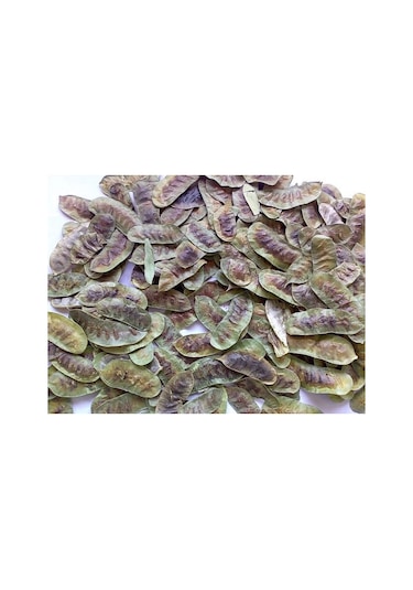 Benim Aktar Açlık Otu 500 G