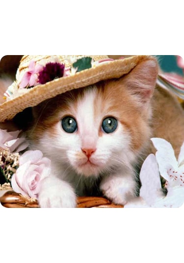 Yaozixa Kedi Desenli 9 Seçenekli, Kaymaz Altlı, Yumuşak Ve Temizlenebilir Oyun/iş Mouse Pad - 180x220x2mm, Bilgisayar/laptop Uyumlu Diğer