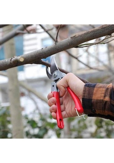 Rtrmax Bağ Budama Makası Rh-05806