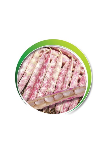 Makrogen Oturak Barbunya 1 Kg