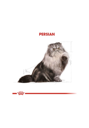 Royal Canin Adult Persian Yetişkin Kedi Maması 2 KG