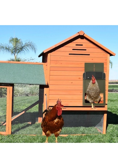 Otomatik Tavuk Kümesi Kapı Açacağı Akülü Işık Algılama Kontrolü Su Geçirmez Pet Brown