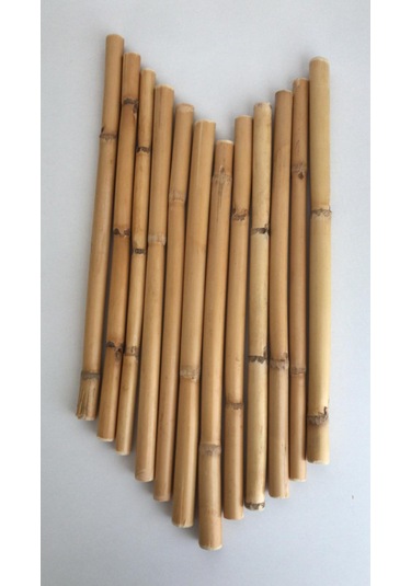 Bambu 30 Cm 12 Li Paket 01