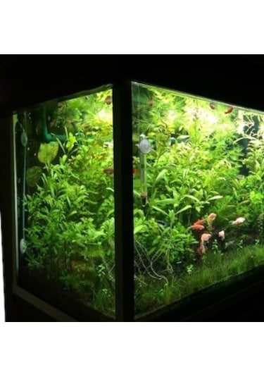 Akvaryum Sıvı Bitki Gübresi Tam Set Toz Formda 5 Lt Diy Sıvı Gübr