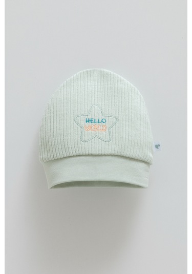 Color World Nakışlı Erkek Triko Bere Yeşil