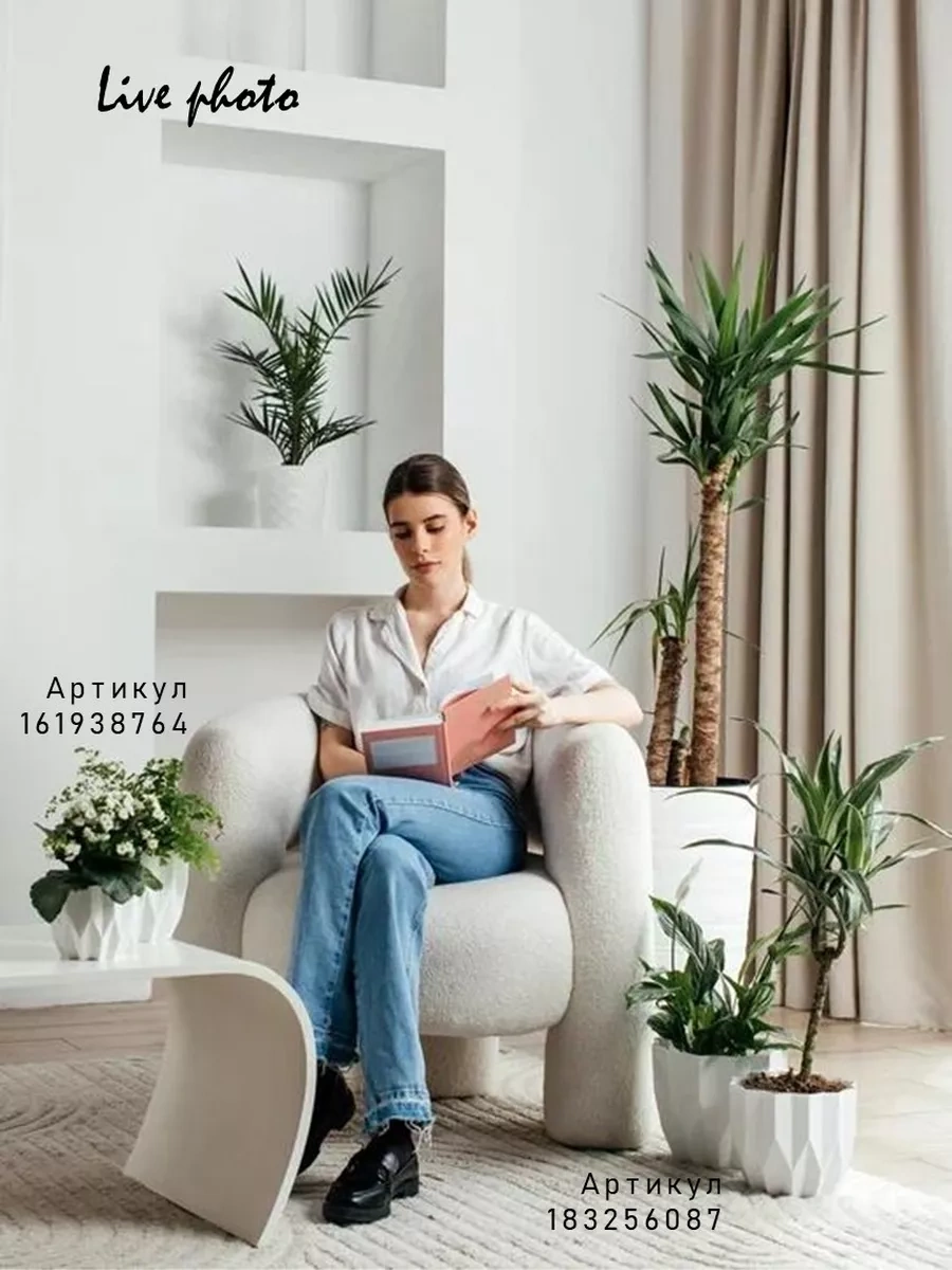 La Decoro Sukulentler İçin Saksı, Menekşe Saksıları, Kaktüs Saksısı. 238664847