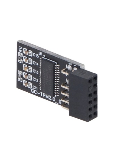 Pazly Gigabyte Uyumlu Tpm 2.0 Modülü - 12 Pin Spı/lpc Arayüzü, Güvenlik Kartı, Intel/amd Anakartlar İçin