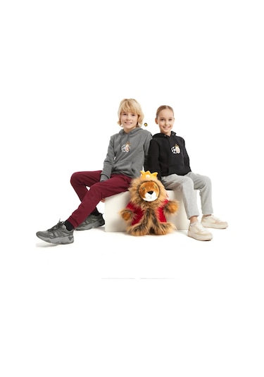 Gs Şampiyonlar Ligi Ucl Hoodie 230613k Gri