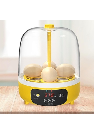 Maoyaya Yumurta Tavuk Suntek Papağan Makinesi Makinesi Kuluçka Kuluçka Rg