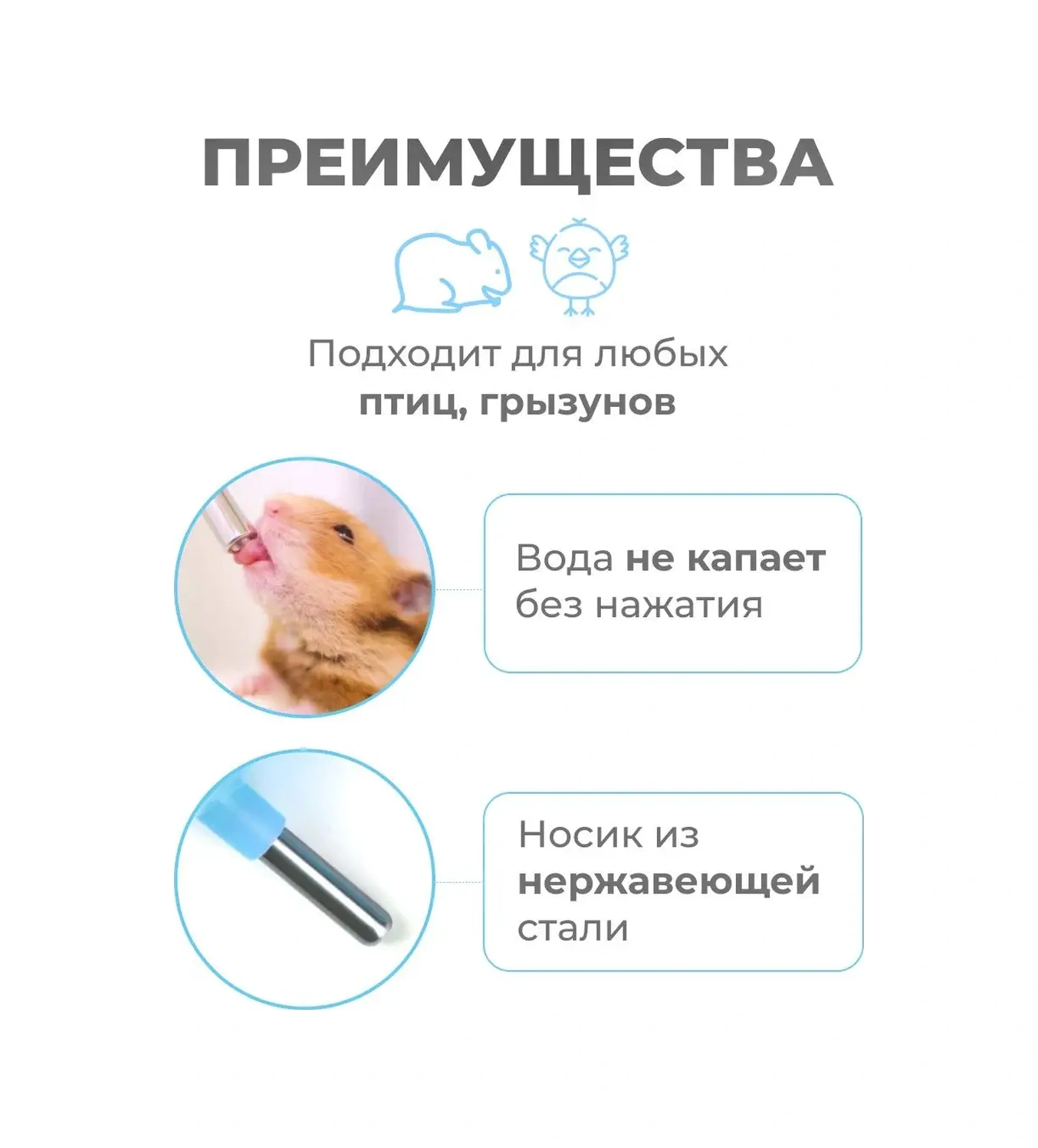 Petsroom Kemirgenler Ve Fareler İçin 80 Ml Suluk 148962244