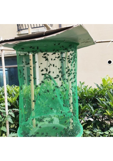Xiyyadms Demir Tel Ve Gazlı Malzeme Yeşil Sinek Tutma Kafesi, Yem Tablası İle 1 Adet