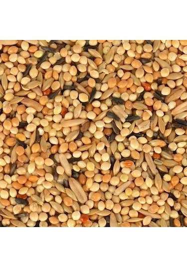 Quik Yavru Muhabbet Yemi 400 Gr X 3 ADET