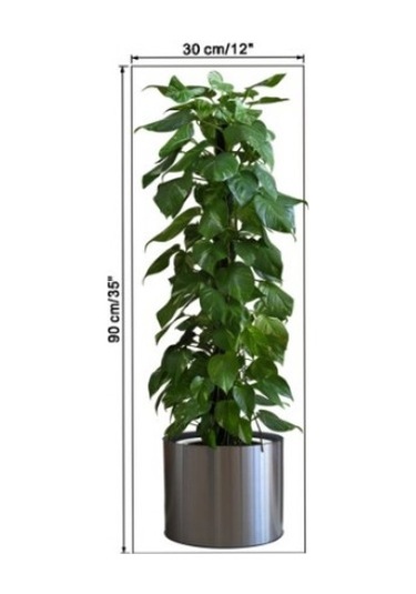 Saksılı Bitki Tasarımlı Yapışkanlı Sticker Resim 90 30 Cm 5060 Çok Renkli