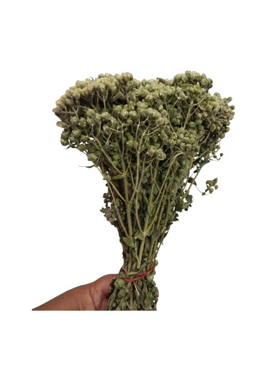 Doğal Dağ Kekiği Demet Bilya Demet Kekik