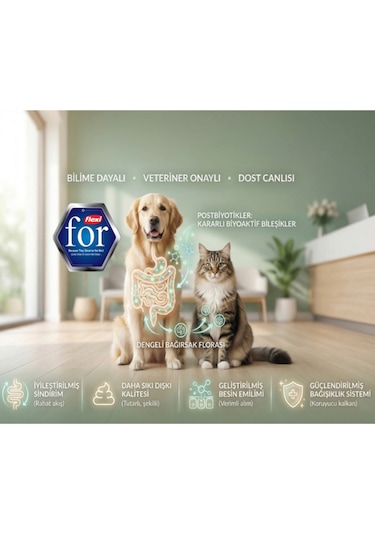 Biftekli Yetişkin Köpek Yaş Maması 400 Gr - Kolajen Destekli