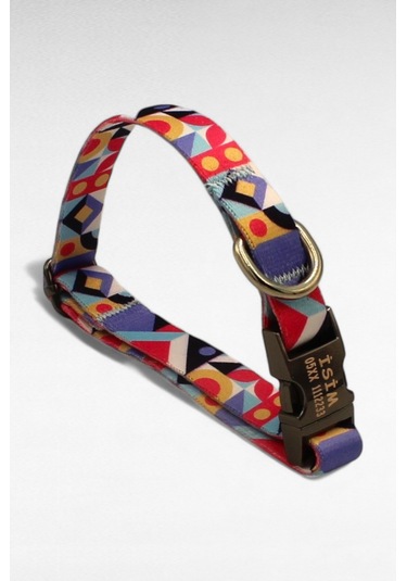 Caramelos İsimli Köpek Tasması, Yavru Köpek Tasması, Küçük Irk Köpek Tasması, Metal Kilit, 1,5 Cm Çok Renkli