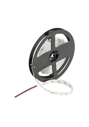 Cata 10 Cip CT-4480-CT4481 Şerit Led 5 M