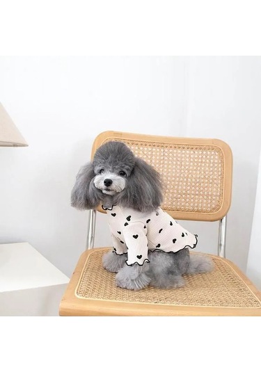 Best Golden Monkey Köpek Elbisesi "makaronka" 387080061