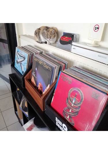 Lp Plak Kasası Açık