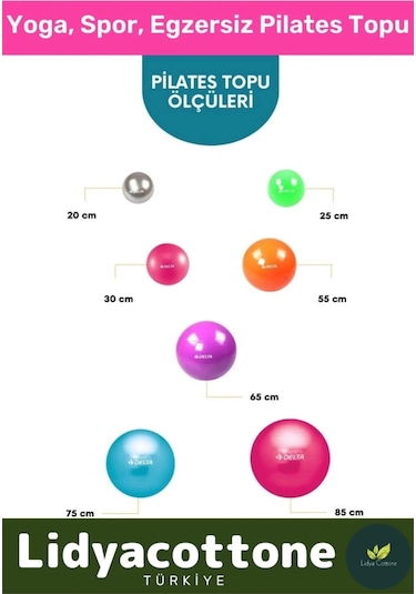 Mini Gymball 20cm Pembe Pilates Topu Denge Egzersiz Şişirme Pompa Hediyeli
