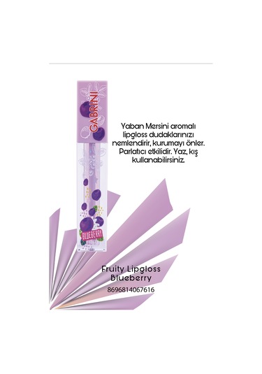 Gabrini Blueberry Fruity Lipgloss