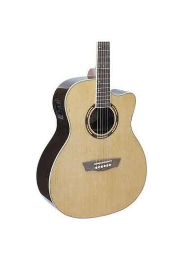 Washburn Ag70Ce  Apprentice  Elektro Akustik Gitar