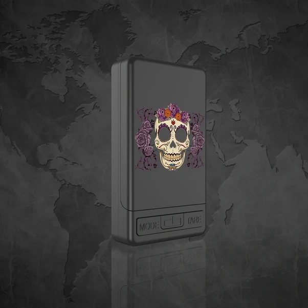 Willowhaven 600g-0.1g Hassas Terazi, Gül Kırmızı, Mini Gram Terazi, Tare Fonksiyonlu, 6 Birim Seçeneği Gül Kırmızısı