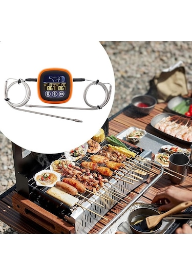 Pazly Termometresi Kanallı Homyl Dijital Çift Barbekü Aksesuarı Co