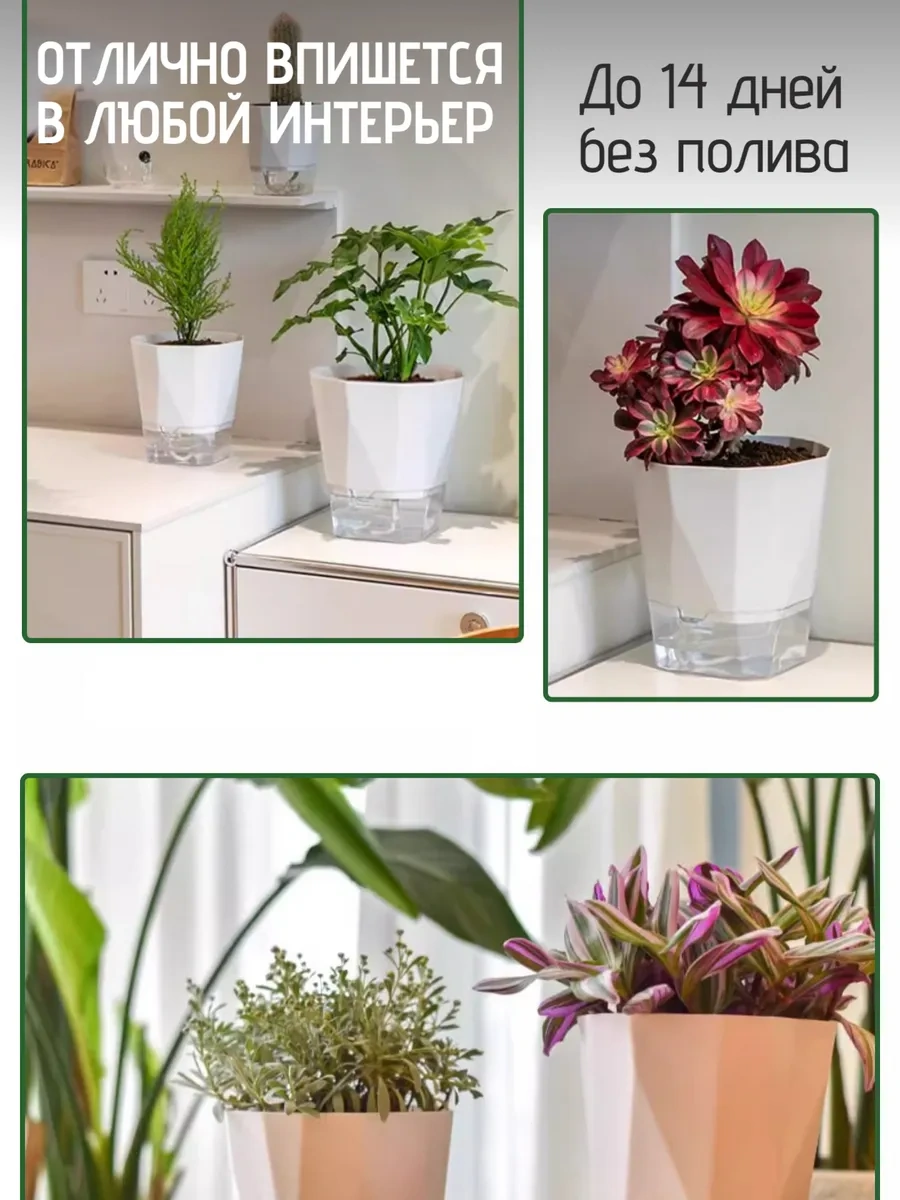 Best Room 1 Litre Tamburam Serili Toprak Bahçesi Seti 443622842